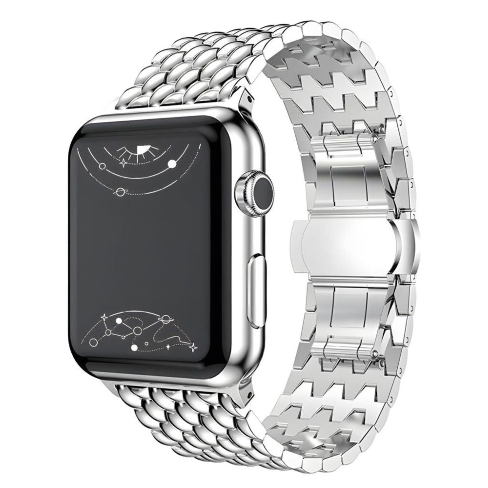 Acer Stainless Steel Band